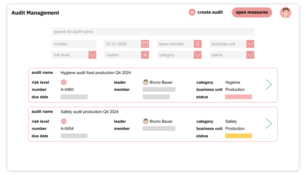 Screenshot: Audit Management